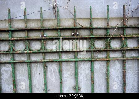 Una vecchia recinzione in metallo forgiato con cime, spille, anelli dell'epoca sovietica dipinti con vernice verde con ardesia grigia. Foto Stock