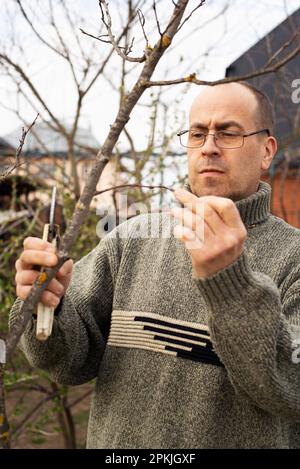 Il giardiniere caucasico di mezza età che pota gli alberi al tempo di primavera del cortile posteriore Foto Stock