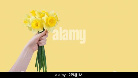 Bouquet di fiori di narcisi gialli, campane di Pasqua isolate su sfondo giallo. Fiori primaverili in fiore. Mockup, modello per le vacanze, birt Foto Stock