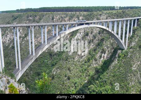 Bungee jumping al ponte di Bloukrans in Sudafrica Foto Stock