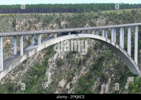 Bungee jumping al ponte di Bloukrans in Sudafrica Foto Stock
