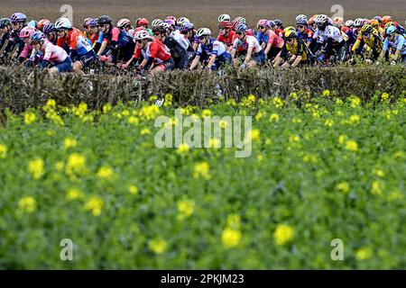 Denaix, Francia. 08th Apr, 2023. Il pacchetto di piloti raffigurati in azione durante la terza edizione della gara femminile d'élite della manifestazione ciclistica 'Paris-Roubaix', 145, a 4 km da Denain a Roubaix, Francia, sabato 08 aprile 2023. FOTO DI BELGA JASPER JACOBS Credit: Belga News Agency/Alamy Live News Foto Stock