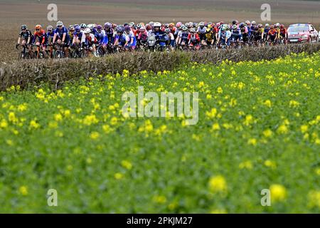 Denaix, Francia. 08th Apr, 2023. Il pacchetto di piloti raffigurati in azione durante la terza edizione della gara femminile d'élite della manifestazione ciclistica 'Paris-Roubaix', 145, a 4 km da Denain a Roubaix, Francia, sabato 08 aprile 2023. FOTO DI BELGA JASPER JACOBS Credit: Belga News Agency/Alamy Live News Foto Stock