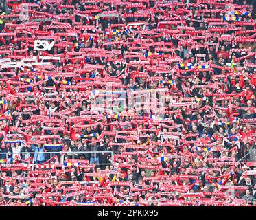 Magonza, Germania. 08th Apr, 2023. Calcio: Bundesliga, FSV Mainz 05 - Werder Bremen, Giornata 27, Mewa Arena Mainz tifosi credito: Torsten Silz/dpa - NOTA IMPORTANTE: In conformità ai requisiti della DFL Deutsche Fußball Liga e del DFB Deutscher Fußball-Bund, è vietato utilizzare o utilizzare fotografie scattate nello stadio e/o della partita sotto forma di sequenze di immagini e/o serie di foto simili a video./dpa/Alamy Live News Foto Stock