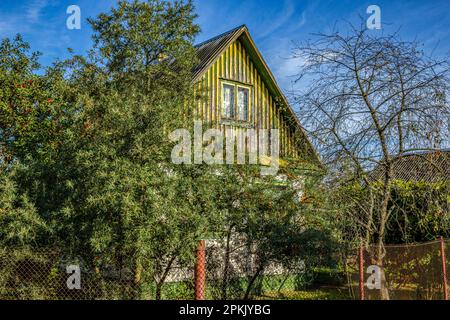 Accoglienti case di campagna in una calda giornata estiva in Bielorussia Foto Stock