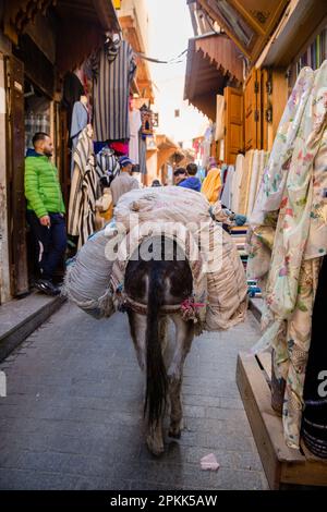 Un asino carico di pacchetti cammina attraverso uno stretto vicolo di Fez Medina come la gente guarda Foto Stock