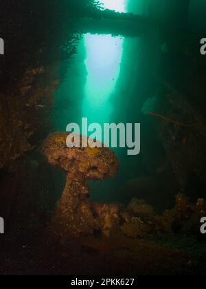 Un veicolo a ruote nel relitto del presidente delle SS Coolidge a Espiritu Santo, Vanuatu Foto Stock