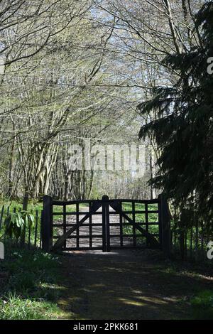 Porta country sagomata Foto Stock