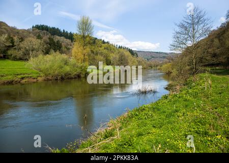 Guardando su e lungo il fiume Wye dal lato inglese del Gloucestershire in una soleggiata mattinata di aprile con cielo blu e soffici nuvole bianche Foto Stock