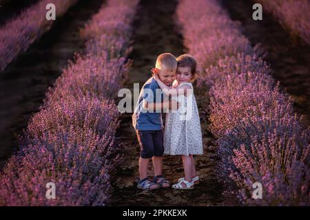 Ragazzina ragazzina carina che abbraccia file di lavanda viola. Amare coppia di bambini carini divertirsi in natura. Giornata di famiglia, spensierato, cheerful chi Foto Stock