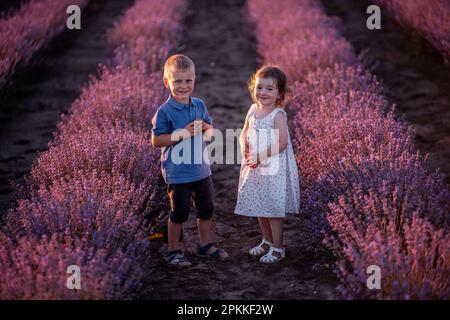 Carino, bel ritratto di bambino coppia e ragazza su sfondo di campo di lavanda viola. Caucasica fratello sorella divertirsi al tramonto. Eccitato piccolo Foto Stock