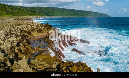 Aereo della costa frastagliata e dei fiori, Christmas Island, Australian Indian Ocean Territory, Australia, Oceano Indiano Foto Stock