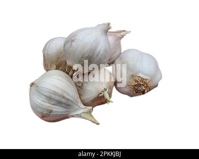 Gruppo di aglio isolato su bianco Foto Stock