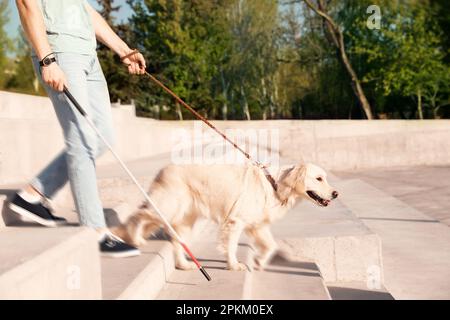 Guida cane aiutare la persona non vedente con la canna lunga che scende le scale all'aperto Foto Stock