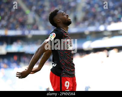 Sabadell, Barcellona, Spagna. 8th Apr, 2023. Barcellona Spagna 08.04.2023 IÃ±aki Williams (Athletic Club) gesti durante la Liga Santander tra Espanyol e Athletic Club allo stadio RCDE il 08 aprile 2023 a Barcellona. (Credit Image: © Xavi Urgeles/ZUMA Press Wire) SOLO PER USO EDITORIALE! Non per USO commerciale! Credit: ZUMA Press, Inc./Alamy Live News Foto Stock