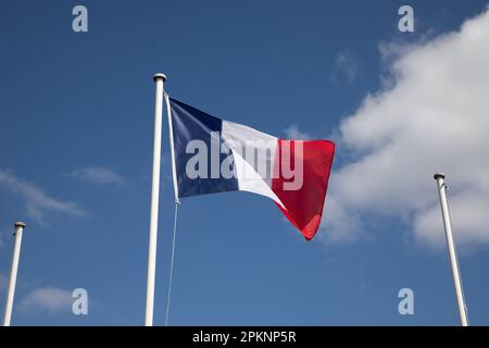 Bandiera francese in cima ad un albero galleggia nel vento con altri due alberi vuoti per beffe bandiere di campagna in cielo Foto Stock