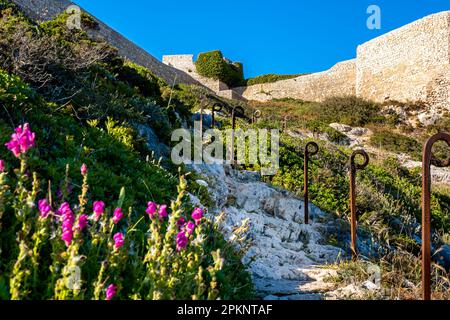 Salendo la scalinata rotta erosa con fiori rosa in primo piano, la vista delle rovine della fortezza Fortaleza de Belixe è una ricompensa per gli escursionisti. Foto Stock