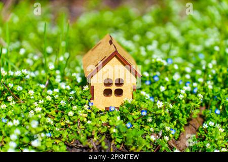 Bellezza della primavera con una casa in miniatura arroccata su un prato di erba verde fresca e fiori minuscoli. Foto Stock