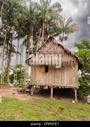 Paumari, Perù - 29 novembre 2018: Casa di legno con un tetto fatto di foglie di palma in un piccolo villaggio nella giungla amazzonica, Sud America. Fiume Yavarii b Foto Stock