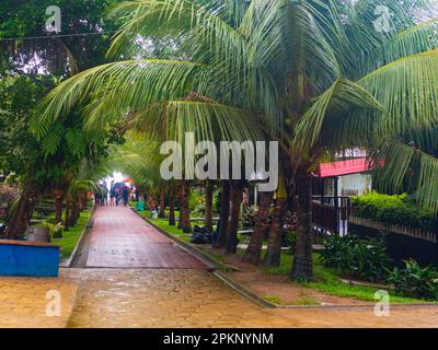 Puerto Narino, Colombia - Dic,2021: Strada a Puerto Nariño - il secondo comune del dipartimento delle Amazzoni della Colombia, situato sulla riva del Foto Stock