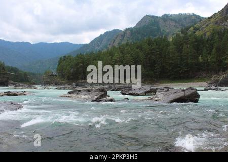 Confluiscono due fiumi di colore turchese e blu in uno. Vista dalla riva del fiume Katun. Repubblica Altay, Siberia Russia Foto Stock