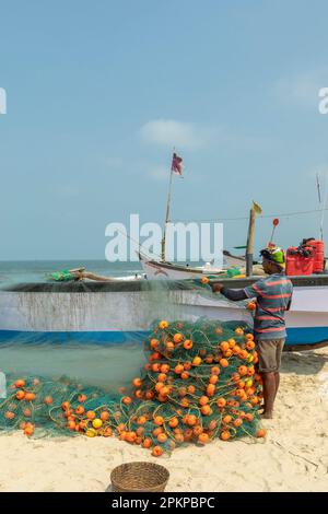 Benaulim Beach, Goa - India. Aprile, 06 2023. I pescatori scaricano il loro pescato dalle fragole sulla riva. I pescatori poi smistano meticolosamente segrega Foto Stock