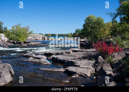 Burleigh Falls Conservation Area, Selwyn County, Ontario, Canada Foto Stock