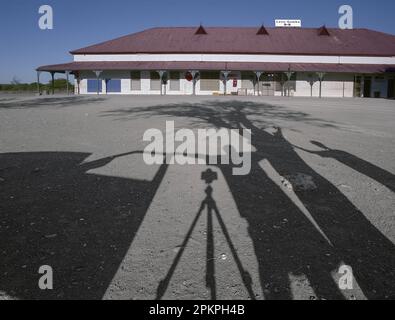 Il piccolo villaggio di Leeu Gamka si trova a cavallo della linea ferroviaria e della N1 tra Laingsburg e Beaufort West. L'ultimo del leone di Capo ormai estinto, era Foto Stock