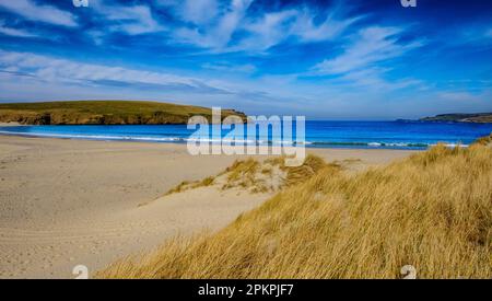 La spiaggia di St Ninian si affaccia sull'isola di St Ninians, Shetland, Scozia Foto Stock