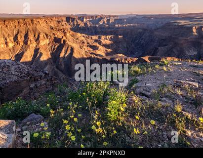 Guardando verso sud lungo il Fish River Canyon dal punto di vista. Foto Stock