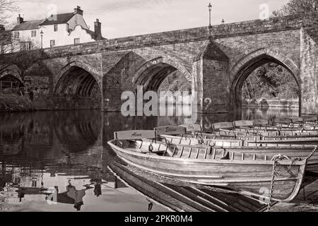 Elvet Bridge è una struttura medievale in muratura ad arco di grado uno che attraversa il fiume Wear nel centro della città di Durham. Catturato qui al mattino presto li Foto Stock