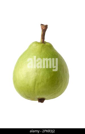 guava isolato su fondo bianco, forma ovale comune tropicale e ricco di nutrienti frutta che è alto in vitamina c, fibra e antiossidanti, tagliato Foto Stock