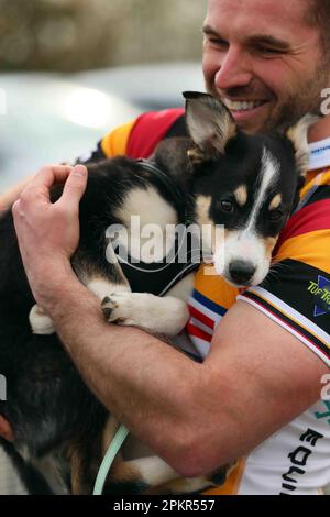 Carmarthen Quins RFC / RCG Indigo Premiership 08.04.2023 Foto Stock