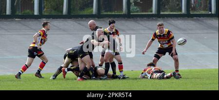 Carmarthen Quins RFC / RCG Indigo Premiership 08.04.2023 Foto Stock