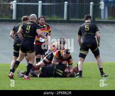 Carmarthen Quins RFC / RCG Indigo Premiership 08.04.2023 Foto Stock