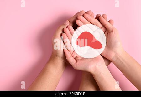 Mani tenendo l'icona del fegato su sfondo rosa, fegato salute Foto Stock