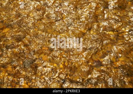 Luce applaiata sul Middle Patuxent River nella contea di Howard, Maryland Foto Stock