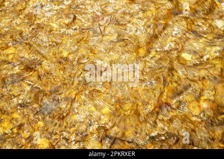 Luce applaiata sul Middle Patuxent River nella contea di Howard, Maryland Foto Stock