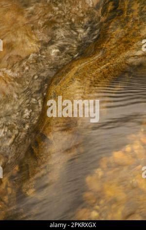 Luce applaiata sul Middle Patuxent River nella contea di Howard, Maryland Foto Stock