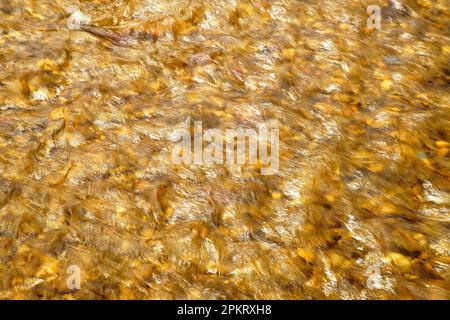 Luce applaiata sul Middle Patuxent River nella contea di Howard, Maryland Foto Stock