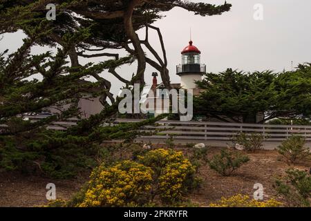 Point Pinos Lighthouse nel Pacifico un boschetto, California Foto Stock