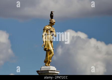 Cormorano sulla testa della Statua della Fontana di Diana al Bushy Park Foto Stock