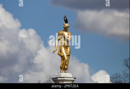 Cormorano sulla testa della Statua della Fontana di Diana al Bushy Park Foto Stock