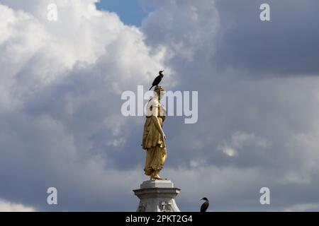 Cormorano sulla testa della Statua della Fontana di Diana al Bushy Park Foto Stock