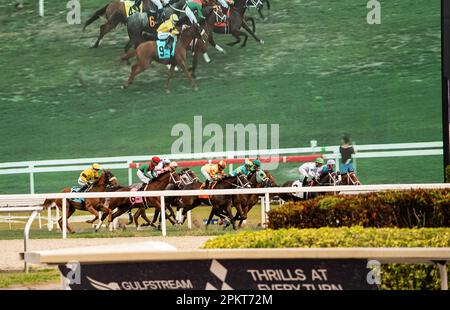 Gulfstream Park and Horse Track, Miami, Florida - 9 aprile 2023: Corsa a cavallo la domenica di Pasqua Foto Stock