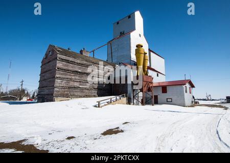 Elevatore di grano a Moosomin, Saskatchewan, Canada Foto Stock