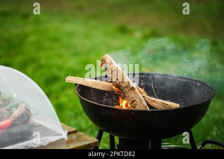 Il braciere fumante di una forma rotonda. La legna da ardere si illumina nel braciere sullo sfondo di erba verde. Il concetto di pic-nic, relax, grill Foto Stock