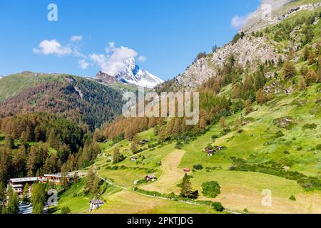 Vista panoramica estiva da Zermatt verso Zmutt e il Cervino lungo il sentiero montano di Edelweissweg in una giornata di sole con cielo blu Foto Stock