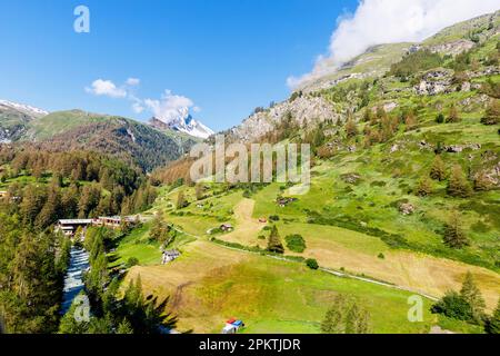 Vista panoramica estiva da Zermatt verso Zmutt e il Cervino lungo il sentiero montano di Edelweissweg in una giornata di sole con cielo blu Foto Stock