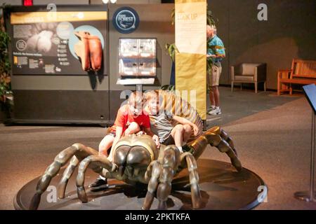 Gainesville, Florida, Stati Uniti. 8 aprile 2023: Il Florida Museum of Natural History è il museo ufficiale di storia naturale sponsorizzato e noleggiato dallo stato della Florida. Foto Stock